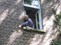 Putzen Efeu